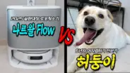 나르왈 플로우 로봇청소기로 반려견 털과 커피 얼룩을 테스트하는 허팝