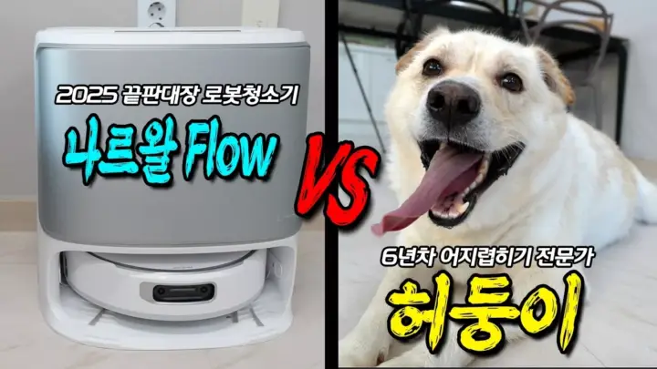 나르왈 플로우 로봇청소기로 반려견 털과 커피 얼룩을 테스트하는 허팝