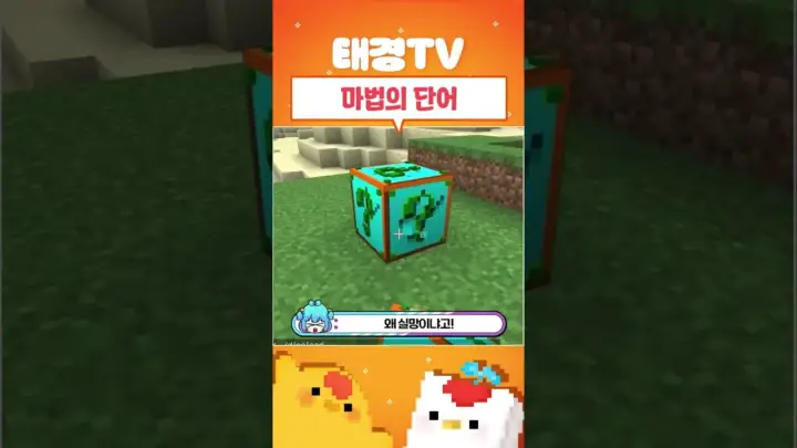 태경 TV 마법의 단어 영상의 게임 대화 장면