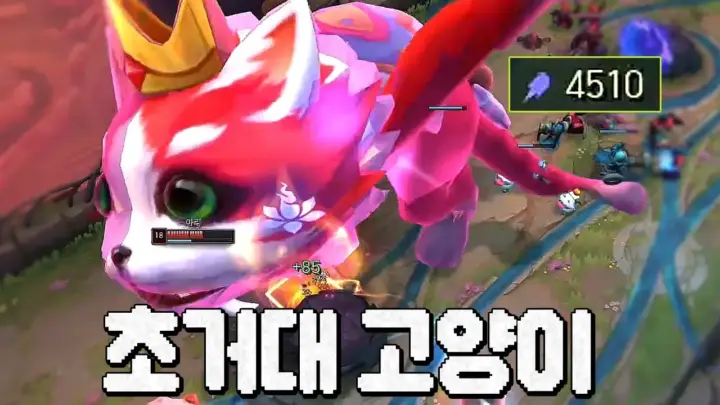 웅플의 주문력 4500 니달리 칼바람 플레이 장면