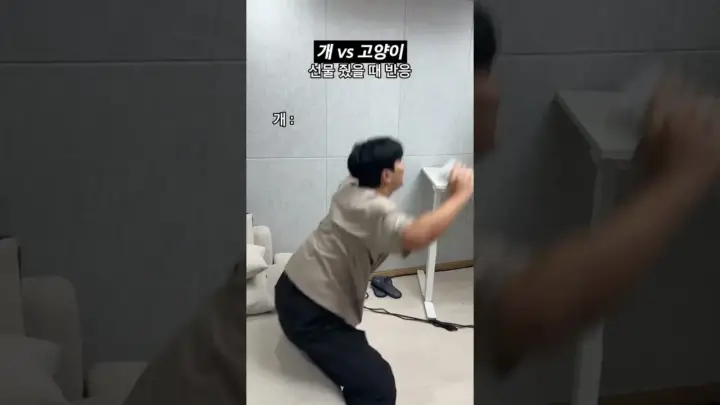 겜브링 GGAM BRING의 강아지와 고양이 차이 영상 대표 이미지