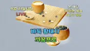 까꿍프로 바둑 방송에서 10연승을 도전하는 온라인 바둑 대국 장면