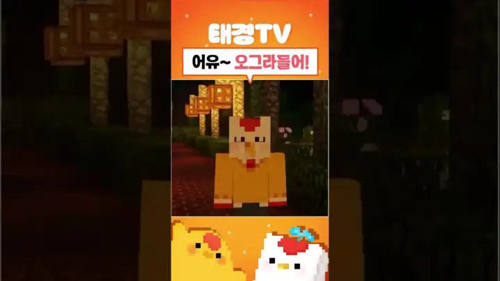 태경 TV 롤러코스터 영상의 짧은 리액션 장면