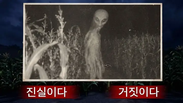 수탉이 플레이한 실화 공포게임 테일즈 오브 피어 장면