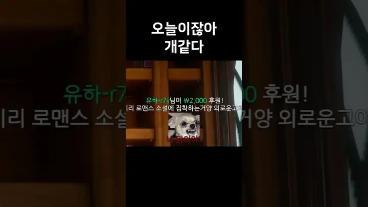 우주하마 병맛게임 쇼츠 영상 정보