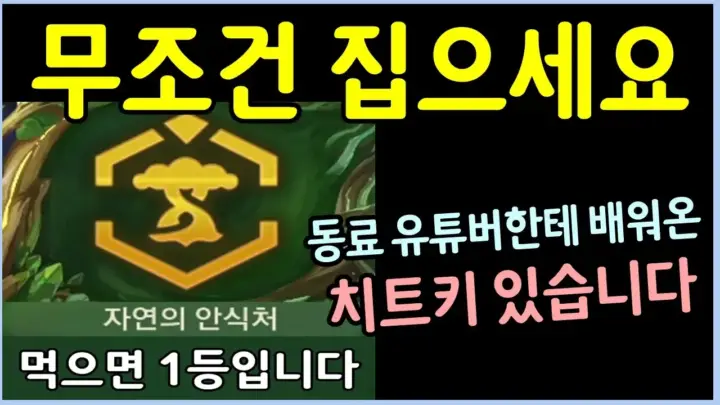 전쓰트의 나무정령 필승법 롤토체스 실전 플레이