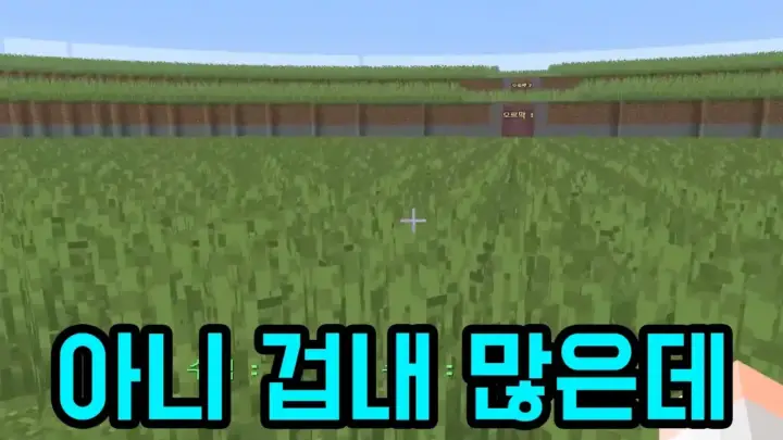 마플이 플레이한 마인크래프트 잔디 맵의 잔디 수확 장면
