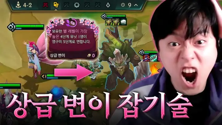 팔차선의 롤토체스 상급 변이 마오카이 실험 장면